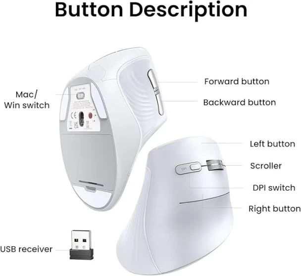 UGREEN MU008 Vertical Mouse Bluetooth & Wireless Silent 4000 DPI | 45759