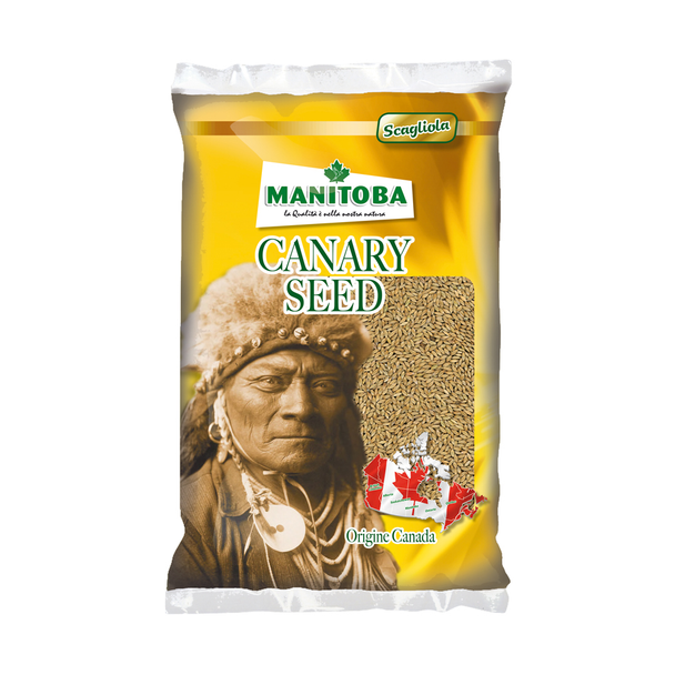 Manitoba Canary Seed Scagliola Alpiste Bird Food 20 Kg | 30810