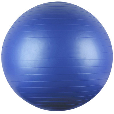 OEM Exercise Ball Blue 75cm | LS3221