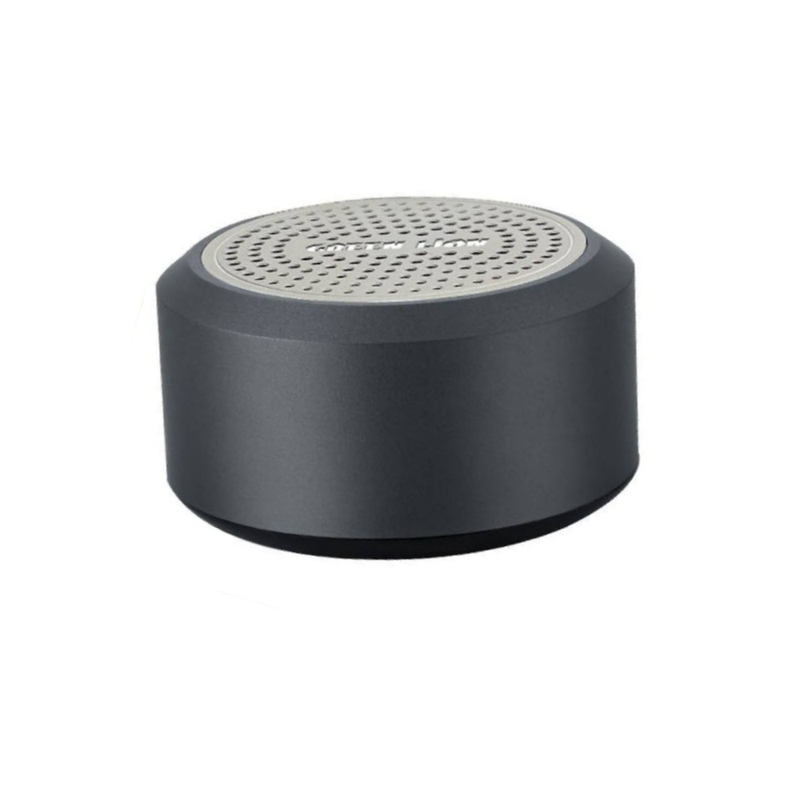 Green Lion Mini Muscle Speaker - Gray | GNMINIMSLSPGY