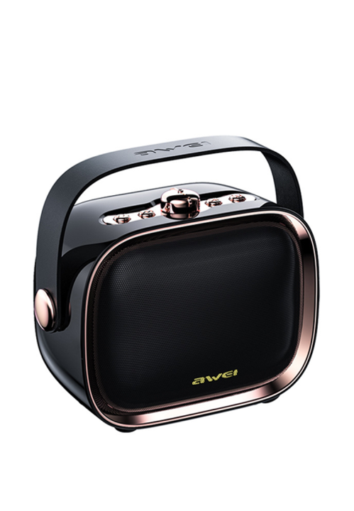 AWEI Portable Mini Karaoke Wireless Speaker 10W Black | Y889-BLACK