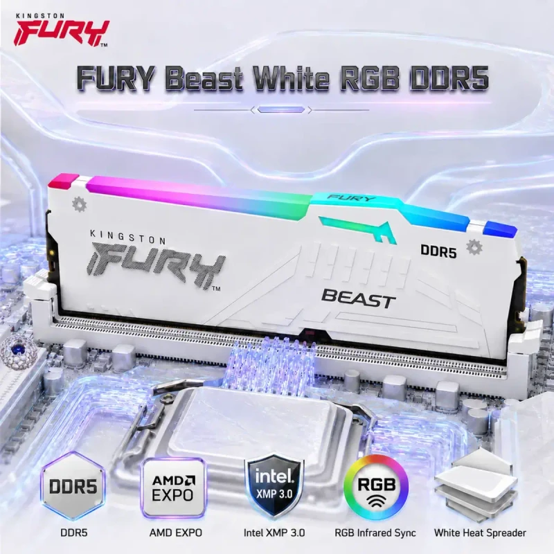 Kingston FURY Beast White RGB EXPO 16GB DDR5-5600 | KF556C36BWEA-16