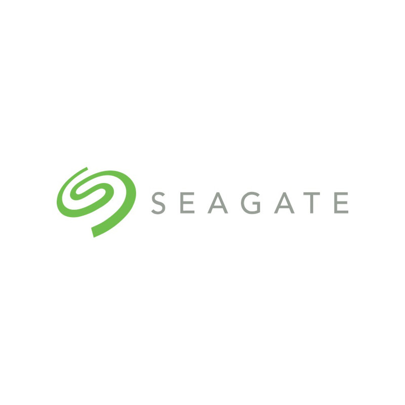 Seagate Surveillance HDD 4TB SATA 3.5 Inch | ST4000VX0160