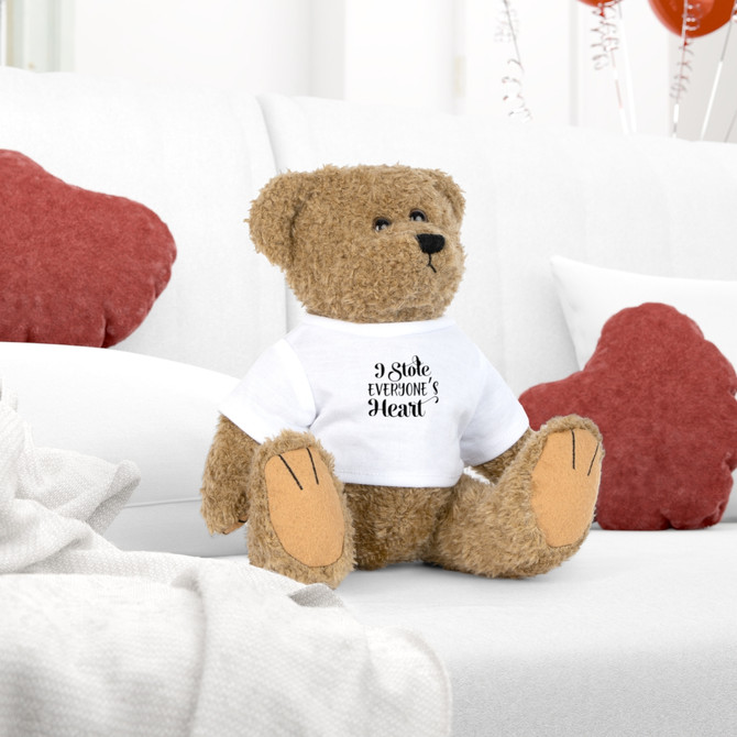 Plush Toy with T-Shirt, I stole everyone's heart t-shirt, plush toy gift