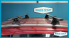 2011-2016 Jeep Compass (w/flush rails) Yakima Crossbar Complete Roof Rack