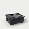 DECKED D-CO Payloader 32 (3-Pack) | Black