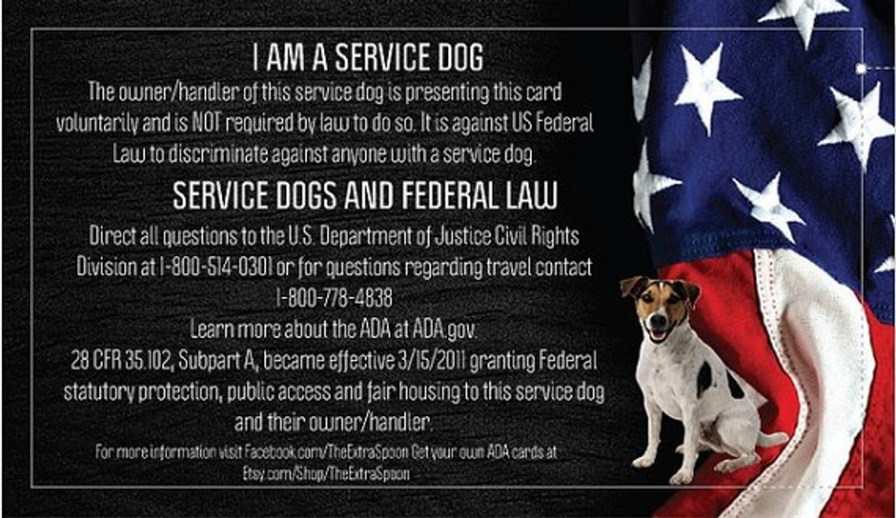 Ada service hot sale dog housing laws