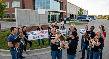 A Changing Tide: How Corporate Shifts and Community Action are Rewriting the Future of Animal Welfare