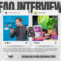 What Are Terpenes? - With the CEO of TerpCanndles