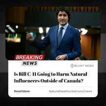 Is Bill C-11 Going to Harm Natural Influencers Outside of Canada?