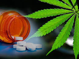 CBD and Drug Interactions: An Easy Guide