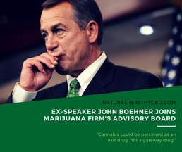 Ex-speaker John Boehner, critic of marijuana legalization, joins pot board