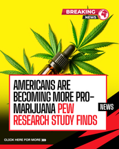 Americans are standing up for Marijuana - Pew Research Center Survey Findings Show US Supports Cannabis