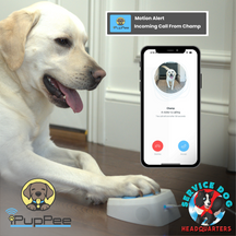 Strange Partnership Brings Independence and Saves Lives -  iPupPee and Service Dog HQ introduce the Emergency Alert Service Dog Button 