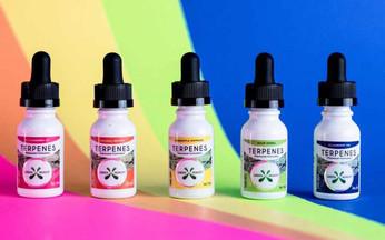 What are CBD Terpenes?