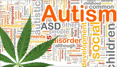 Study Shows CBD Oil Has 80% Success Rate in Treating Kids with Autism Study Shows CBD Oil Has 80% Success Rate in Treating Kids with Autism