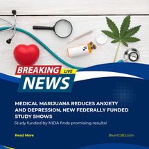 Medical Marijuana Reduces Anxiety And Depression, New Federally Funded Study Shows