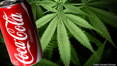 CBD is So Good, Even Coca-Cola Wants In…