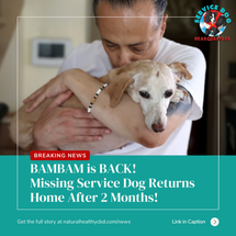 BamBam is Found! Stolen / Lost Service Dog is Reunited with Legally Blind Owner After Going Viral Causing Citywide Search