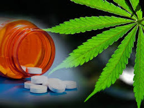 CBD and Drug Interactions: An Easy Guide