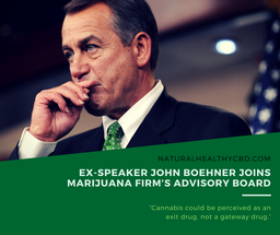 Ex-speaker John Boehner, critic of marijuana legalization, joins pot board