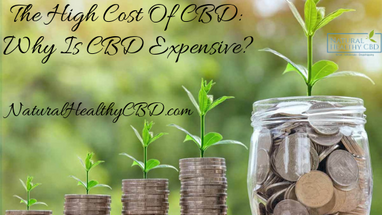 The High Cost Of CBD: Why Is CBD Expensive?