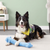 MULTIPET Loofa Love
Service dog headquarters
dogstars
gotham service dog hero