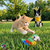 MULTIPET Margaritaville Cat Toys