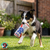 HUXLEY & KENT Dog Power Plush Pups Blue Ribbon - Service Dog Headquarters - Dogstars