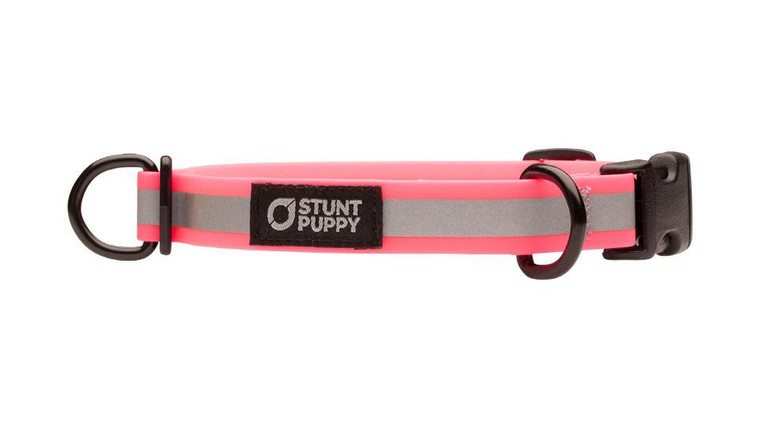 Go Dog Glo Small Pink Reflective Dry Collar