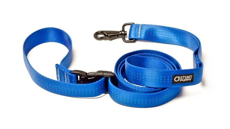 Everyday Blue Leash