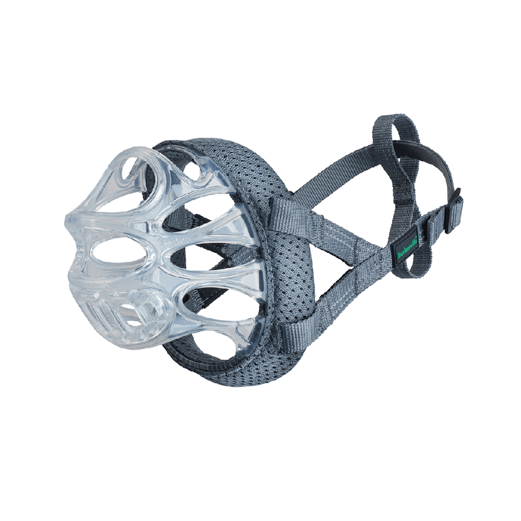 Baskerville Invisa Muzzle - Clear - The Company of Animals