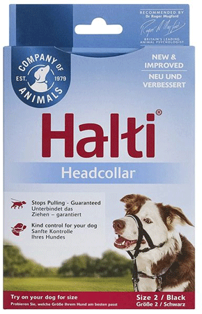 Halti Headcollar by company of animals
