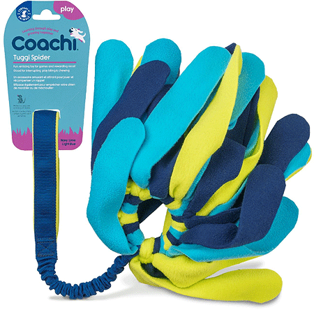 COMPANY OF ANIMALS
Coachi Tuggi Spider