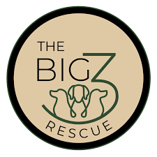 the big 3 rescue