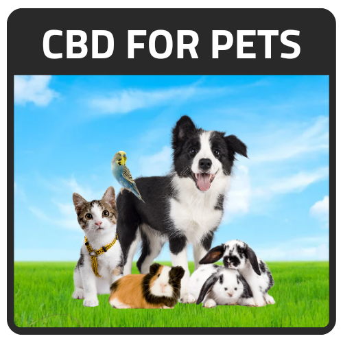 The largest cbd and hemp selection for pets in the world! Partnered with Service Dog HQ!