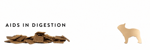 1000017939.gif 1000017939.gif