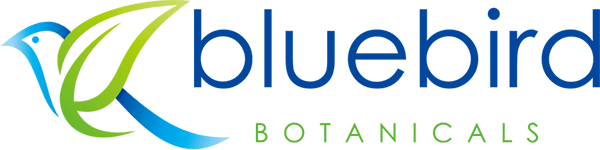 bluebird-logo.png