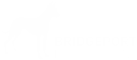 bridgeport-logo-white.png bridgeport-logo-white.png