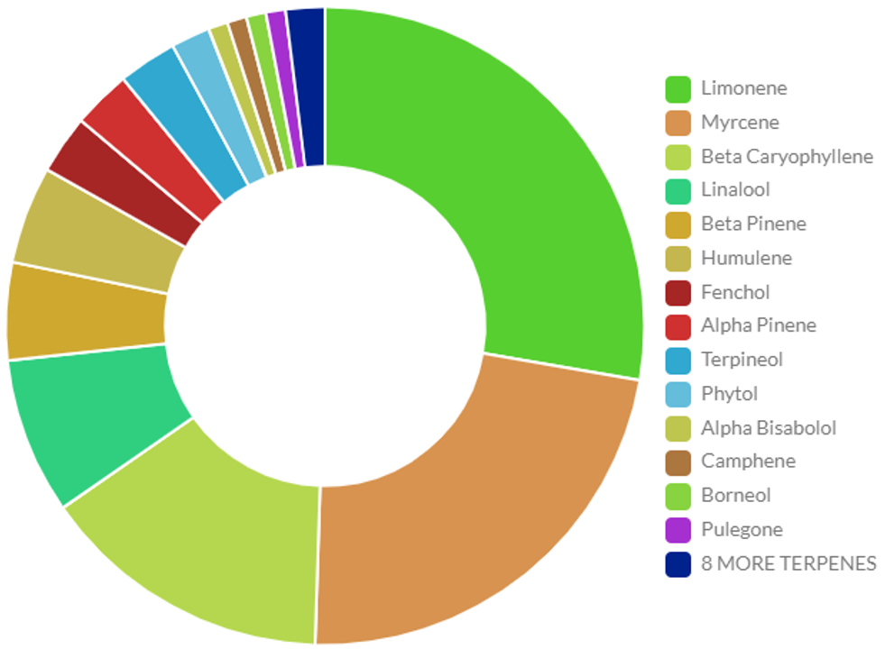 terpeneprofile-hybrid.png