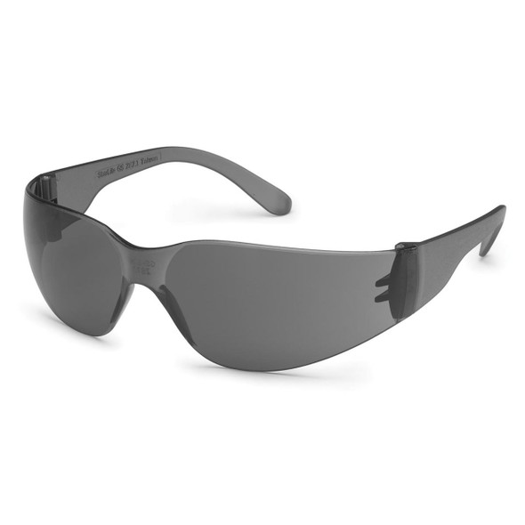 Gateway Starlite Safety Glasses - Colored Anti-Fog Lens