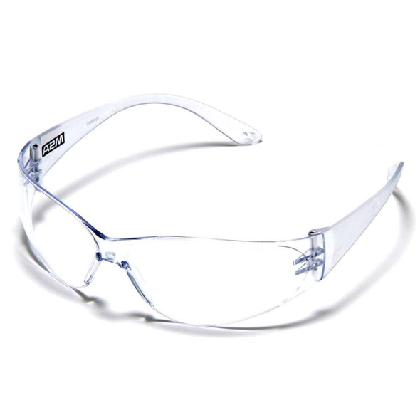 MSA Arctic Safety Glasses w/ Clear Lens