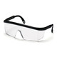 Pyramex Integra Safety Glasses