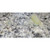 TENAX Knife Grade Transparent Tixo E with Tube of Hardener - Liter - (TEKG01)