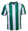CT1102 Bocini Adults Sublimated Striped Football Jersey Emerald/White