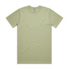 5026 AS Colour Mens Classic Tee Pistachio
