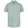 W46 Identitee Miller Mens Short Sleeve Shirt Racing Green/White
