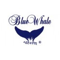 Blue Whale