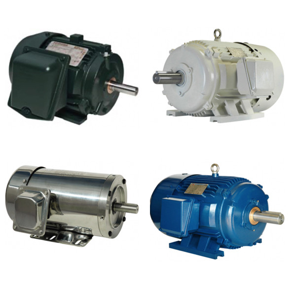 View More Industrial Motors