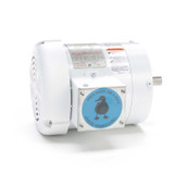 116642.00 Leeson |  1/3 hp 1800 RPM 56C Frame TEFC (no base) C-Face 208-230/460V Wash Down Duty
